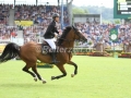 IMG_2658 Sergio Alvarez Moya u. Arrayan (Aachen 2016)