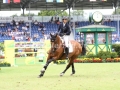 IMG_3746 Janika Sprunger u. Bacardi VDL (Aachen 2016)