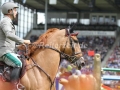 IMG_4092 Emanuele Gaudiano u. Corbanus (Aachen 2016)