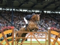 IMG_4105 Jos Verlooy u. Sunshine (Aachen 2016)