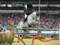 IMG_4123 Gerco Schröder u. Glock´s Cognac Champblanc N.O.P. (Aachen 2016)