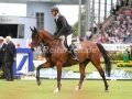 IMG_4498 Steve Guerdat u. Corbinian (Aachen 2016)