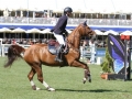 IMG_4392-Felix-Hassmann-u.-Horse-Gyms-Balance-Hamburg-2016