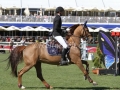 IMG_4436 Kevin Staut u. Ayade de Septon et HDC (Hamburg 2016)