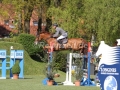 IMG_4621 Ludger Beerbaum u. Casello (Hamburg 2016)