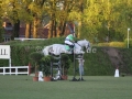IMG_6431 Olivier Philippaerts u. H&M Cabrio van de Heffinck (Hamburg 2016)