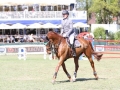 IMG_7108 Ludger Beerbaum u. Casello (Hamburg 2016)