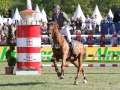 IMG_7481 Ludger Beerbaum u. Casello (Hamburg 2016)
