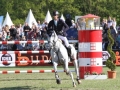 IMG_7642 Nicola Philippaerts u. Zilverstar T (Hamburg 2016)