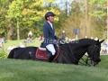IMG_3316 Simon Delestre u. Qlassic Bois Margot (Hamburg 2016)