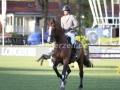 IMG_3557 Christian Kukuk u. Limonchello NT (Hamburg 2016)