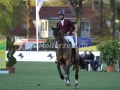 IMG_3700 Hamad Ali Mohamed A Al Attiyah u. Appagino (Hamburg 2016)