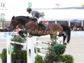 IMG_1733 Philipp Weishaupt u. Chico 784 (Hagen 2016)