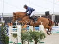 IMG_1971 Julien Epaillard u. Pigmalion du Rozel (Hagen 2016)