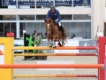 IMG_1975 Julien Epaillard u. Pigmalion du Rozel (Hagen 2016)