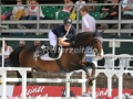 IMG_9589 Johannes Ehning u. Tempo Royal (Noerten-Hardenberg 2016)