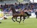 IMG_3824 Maikel van der Vleuten u. Delina (Aachen 2015)