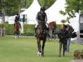 IMG_3029 Pius Schwizer u. Balou Rubin R (Aachen 2015)