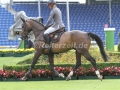 IMG_3062 Pius Schwizer u. Balou Rubin R (Aachen 2015)