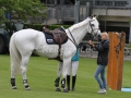 IMG_3154 Fibonacci 17 (Aachen 2015)