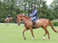 IMG_3156 Kevin Staut u. Qurack de Falaise HDC (Aachen 2015)