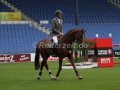 IMG_3275 Ludger Beerbaum u. Zinedine (Aachen 2015)