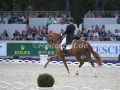 IMG_3122 Michael Eilberg u. Woodlander Farouche (Aachen 2016)