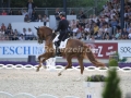 IMG_3141 Michael Eilberg u. Woodlander Farouche (Aachen 2016)