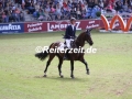 IMG_8951 Frank Schuttert u. Chiantis Champion (Aachen 2017)