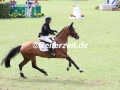 IMG_9080 Eric Lamaze u. Fine Lady 5 (Aachen 2017)