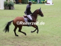 IMG_9105 Marc Houtzager u. Sterrehof´s Calimero (Aachen 2017)