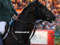 EF3A0781-Denis-Lynch-u.-Vistogrand-Aachen-2025