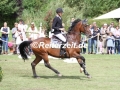 IMG_4954 Philipp Battermann u. Chili con Pepper (Delingsdorf 2017)