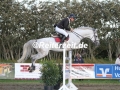 IMG_5555 Stefan Jensen u. Casco 13 (Behrendorf 2017)