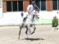 IMG_3393-Mathias-Noerheden-Johansen-u.-Cody-113-Breitenburg-2019