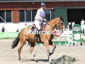 IMG_3575-Tim-Rieskamp-Goedeking-u.-Chico-Bonito-Breitenburg-2019