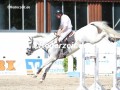 IMG_3695-Stefan-Jensen-u.-Chiron-25-Breitenburg-2019