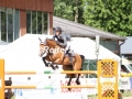 IMG_3916 Angelos Touloupis u. Coco Chanell 15 (Breitenburg 2017)