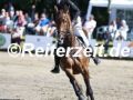 EF3A0006-Stina-Struck-u.-Askido-2-Breitenburg-2024