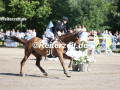 EF3A0198-Janne-Friederike-Meyer-Zimmermann-u.-High-Level-6-Breitenburg-2024