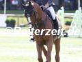 041A3818-Mark-Mcauley-u.-Django-Ste-Hermelle-Bruessel-Stephex-Masters-2022