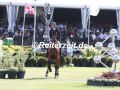 041A3951-Gilles-Thomas-u.-Aretino-13-Bruessel-Stephex-Masters-2022