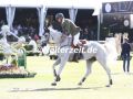 041A4029-Peder-Fredricson-u.-Catch-me-not-S-Bruesssel-Stephex-Masters-2022