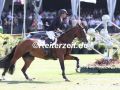 041A4040-Steve-Guerdat-u.-Dynamix-de-Belheme-Bruessel-Stepex-Masters-2022