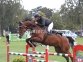 IMG_1275 Tim Markus u. Clearville (Bad Segeberg 2015)
