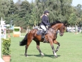 IMG_0715 Nele Kortsch u. Cornetto 40 (Bad Segeberg 2016)