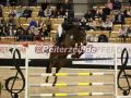 EF3A1127-Annkathrin-Wrede-u.-Venezia-75-CdS-Neumuenster-2025