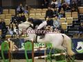 EF3A1935-Bjoern-Behrend-u.-Charlotte-240-CdS-Neumuenster-2025