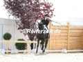 IMG_4308 Camilla Kohtz u. Highlander (Delingsdorf 2017)
