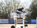 EF3A7677-Peter-Jakob-Thomsen-u.-Colombo-77-Ehlersdorf-2023-Woche-2